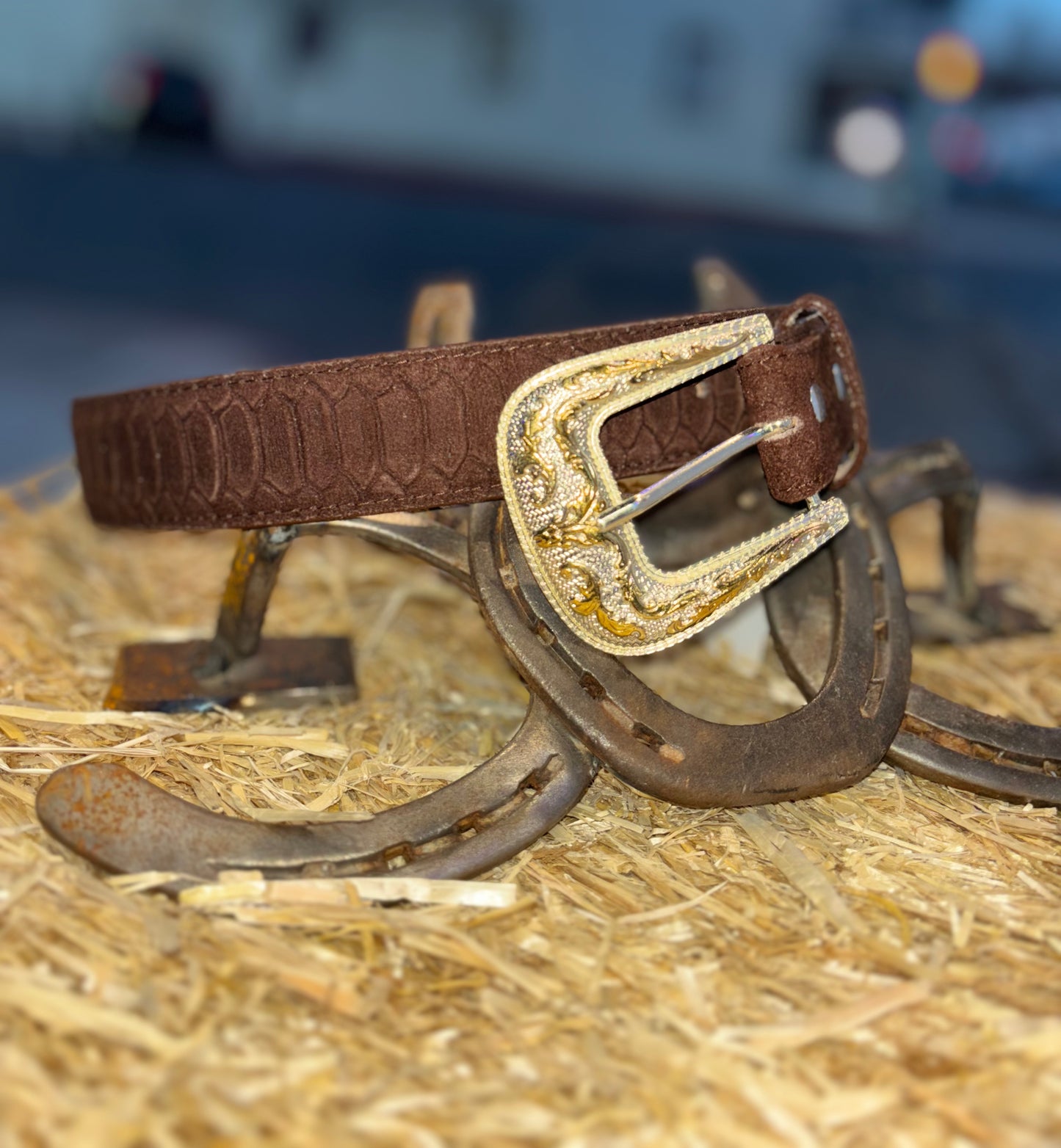 Brown Alligator Skin Belt