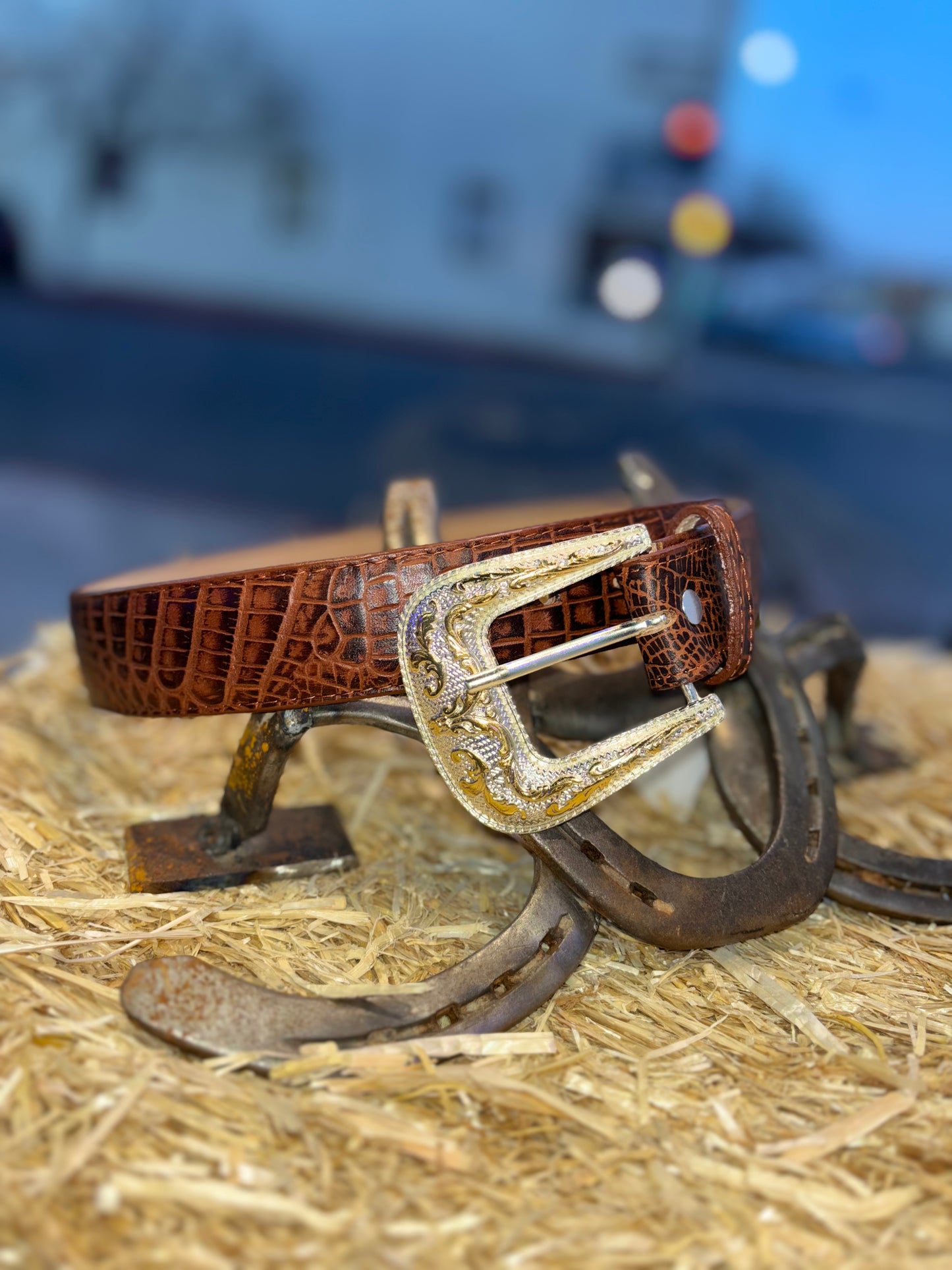 Brown/Black Alligator Skin Belt